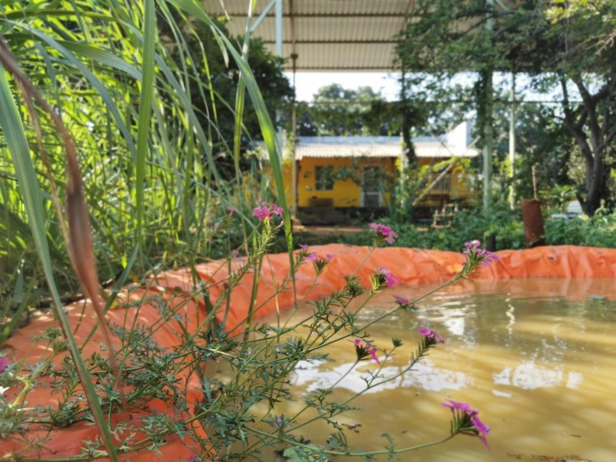 Hornbill Farm Resort Haiderabad Buitenkant foto