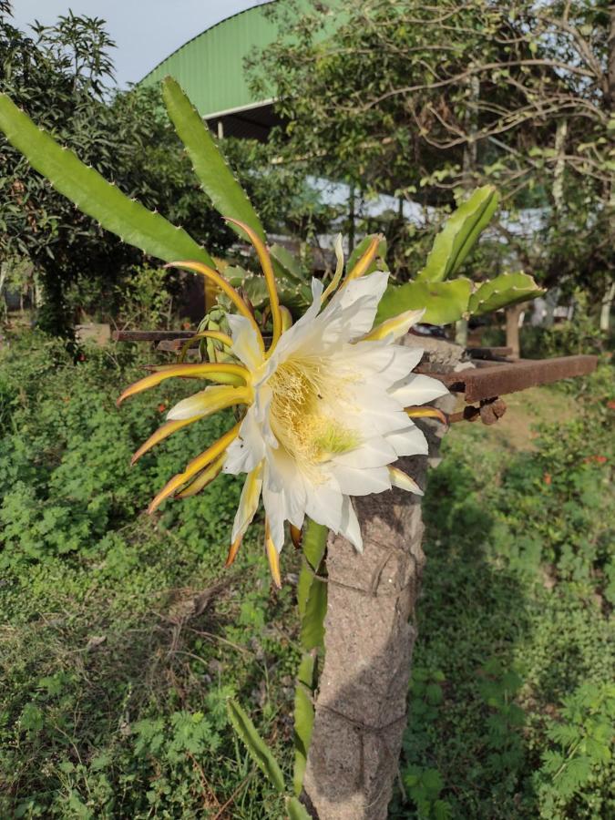 Hornbill Farm Resort Haiderabad Buitenkant foto
